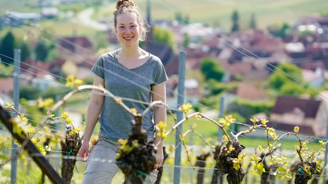 Immer mehr Frauen in Deutschland entscheiden sich Winzerin zu werden, so auch Hanna Nunkesser. - Bild: Uwe Anspach/dpa