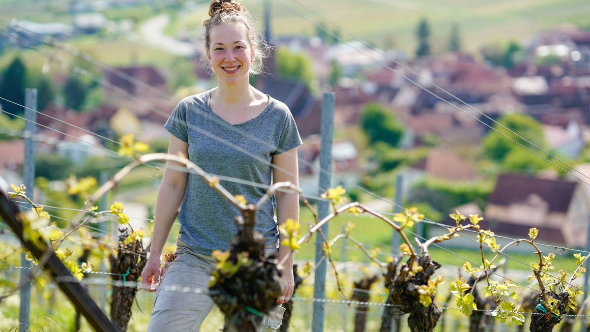 Immer mehr Frauen in Deutschland entscheiden sich Winzerin zu werden, so auch Hanna Nunkesser. - Foto: Uwe Anspach/dpa