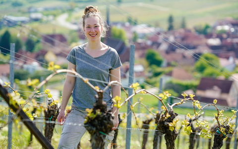 Immer mehr Frauen in Deutschland entscheiden sich Winzerin zu werden, so auch Hanna Nunkesser. - Foto: Uwe Anspach/dpa