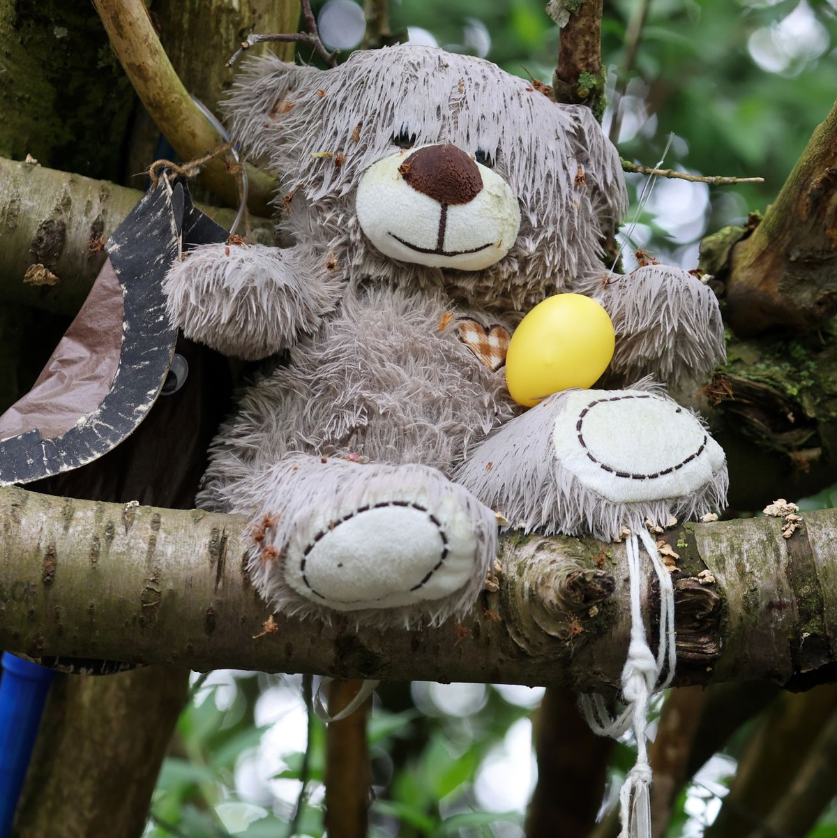 Das Urteil im Fall um einen getöteten Sechsjährigen wird heute gesprochen. Ein inzwischen 15-Jähriger ist angeklagt und hat gestanden. - Foto: Bernd Wüstneck/dpa