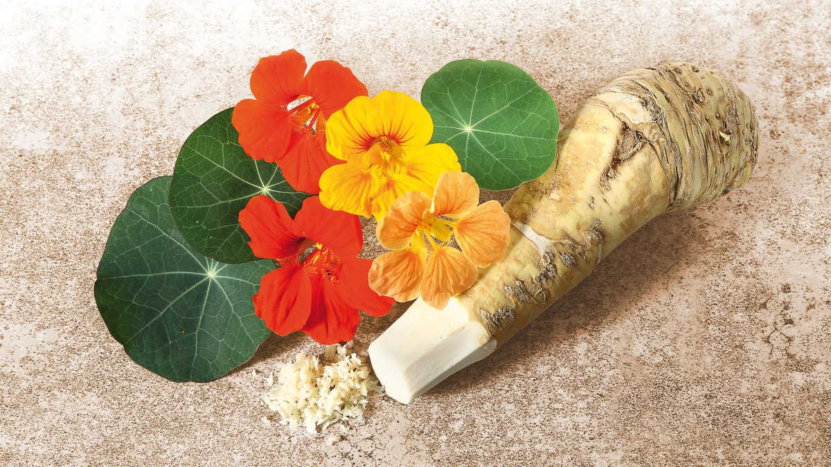 Antibiotikaresistenzen: Gefährliches bakterielles Resistenzgen entdeckt / Lohnt hier ein Blick in die Natur? - Foto: presseportal.de