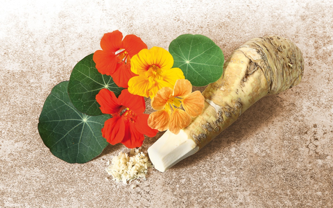 Antibiotikaresistenzen: Gefährliches bakterielles Resistenzgen entdeckt / Lohnt hier ein Blick in die Natur? - Foto: presseportal.de