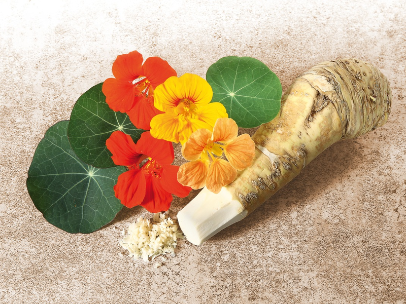 Antibiotikaresistenzen: Gefährliches bakterielles Resistenzgen entdeckt / Lohnt hier ein Blick in die Natur? - Foto: presseportal.de