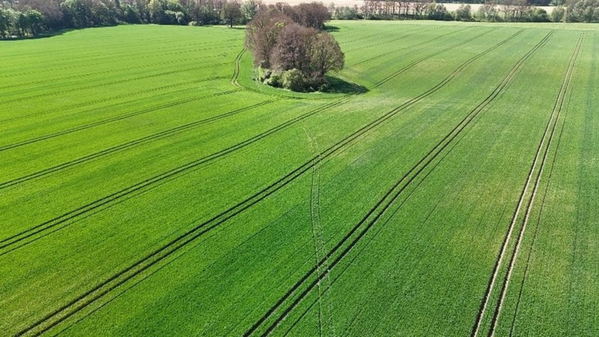 BPOLI LUD: Audi im Harz gestohlen, ein paar Stunden später an der Neiße bei Rothenburg sichergestellt - Foto: presseportal.de