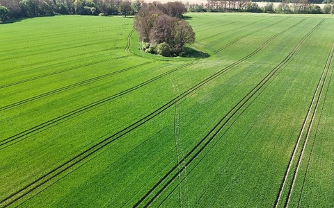BPOLI LUD: Audi im Harz gestohlen, ein paar Stunden später an der Neiße bei Rothenburg sichergestellt - Foto: presseportal.de