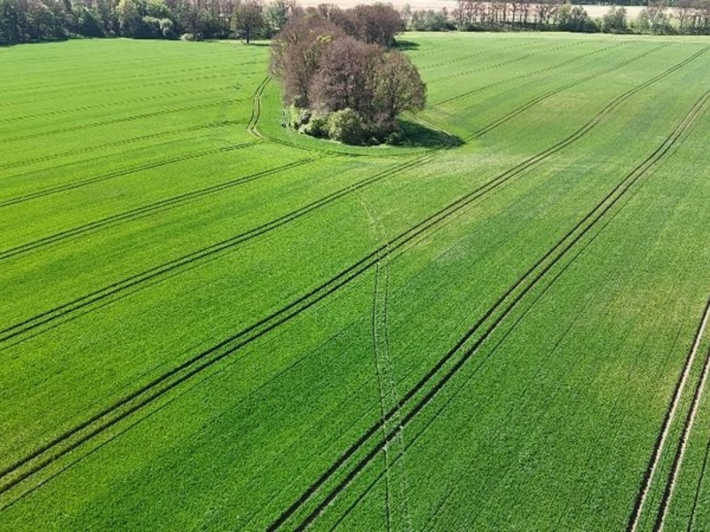 BPOLI LUD: Audi im Harz gestohlen, ein paar Stunden später an der Neiße bei Rothenburg sichergestellt - Foto: presseportal.de
