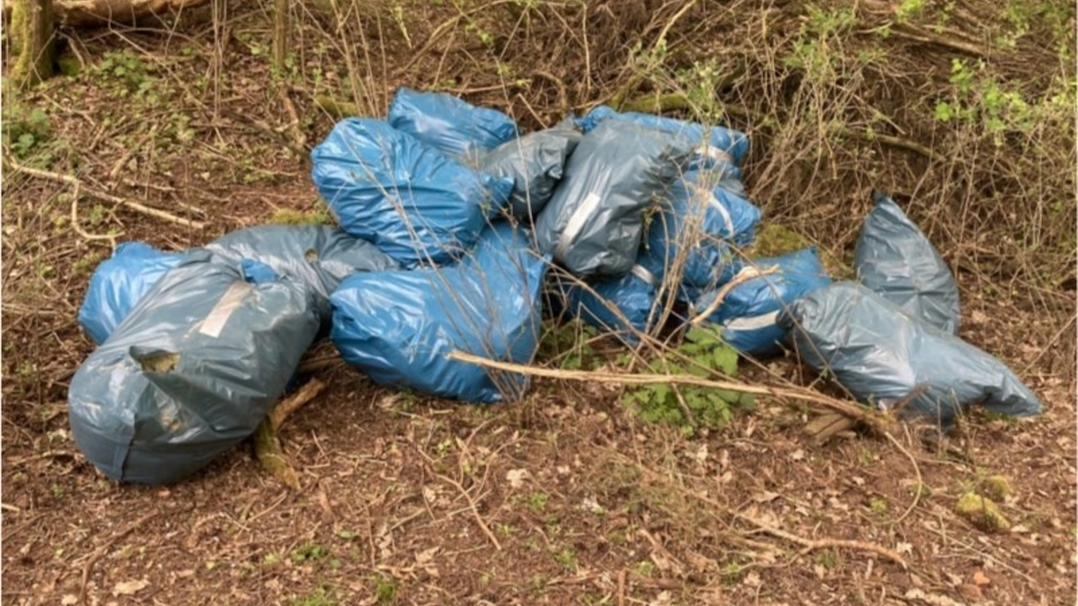 POL-KB: Frankenberg - Dämmwolle im Gebüsch entsorgt, die Polizei sucht nach Zeugen - Foto: presseportal.de