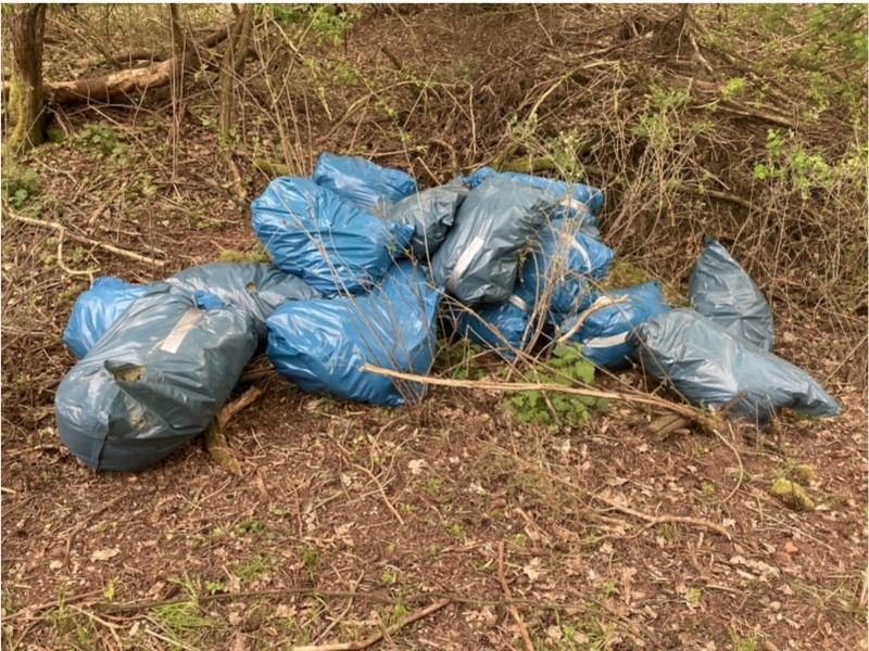 POL-KB: Frankenberg - Dämmwolle im Gebüsch entsorgt, die Polizei sucht nach Zeugen - Foto: presseportal.de