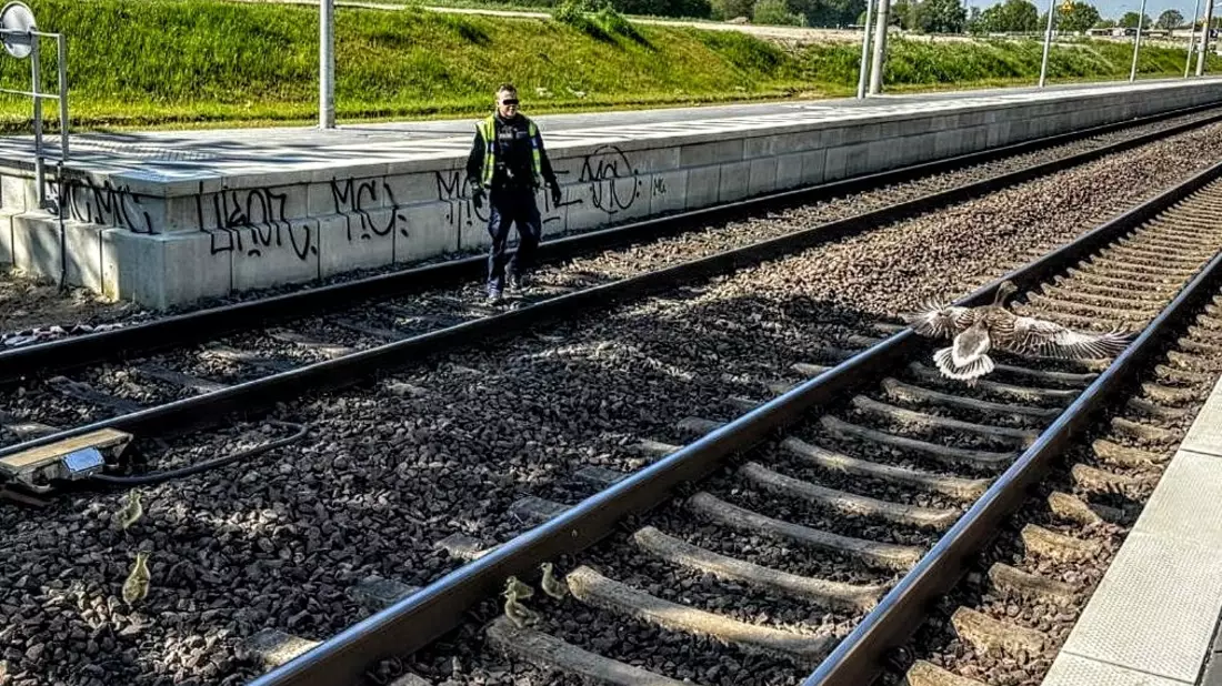 BPOL-KI: Gänsemarsch legt am 1. Mai Bahnverkehr lahm - Bild: presseportal.de