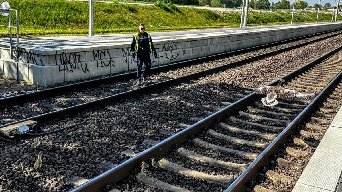 BPOL-KI: Gänsemarsch legt am 1. Mai Bahnverkehr lahm - Foto: presseportal.de