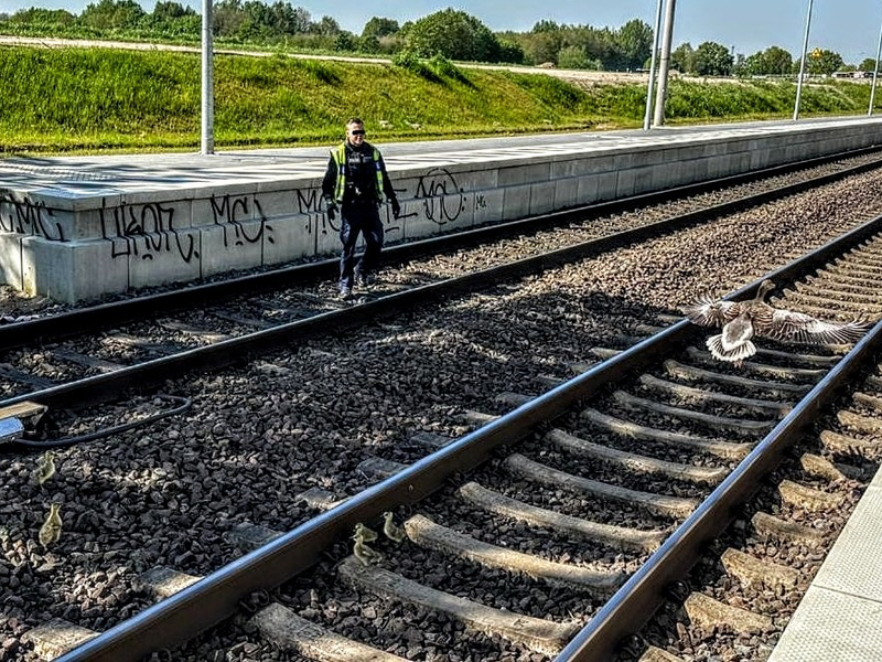 BPOL-KI: Gänsemarsch legt am 1. Mai Bahnverkehr lahm - Foto: presseportal.de
