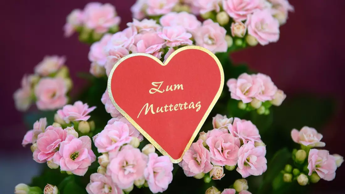 Blumen zählen zu den beliebtesten Geschenken zum Mutterag (Symbolbild). - Bild: Robert Michael/dpa-Zentralbild/dpa