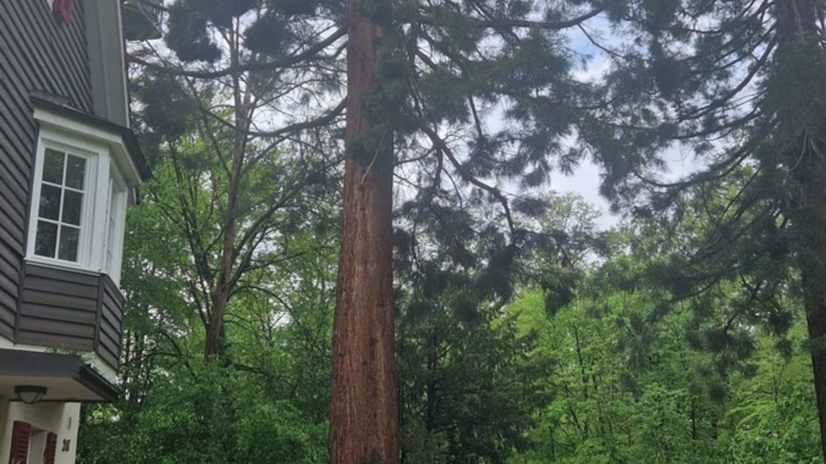 FW Stuttgart: Blitzeinschläge führen zu mehreren Feuerwehreinsätzen - Foto: presseportal.de