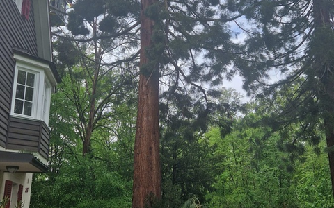 FW Stuttgart: Blitzeinschläge führen zu mehreren Feuerwehreinsätzen - Foto: presseportal.de