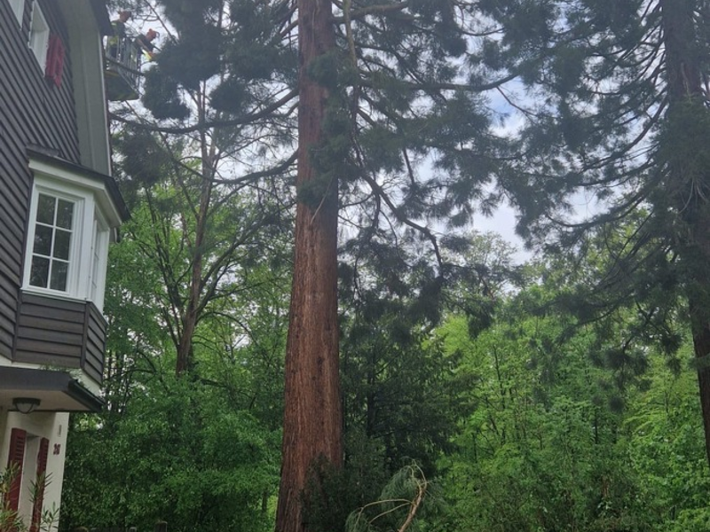 FW Stuttgart: Blitzeinschläge führen zu mehreren Feuerwehreinsätzen - Foto: presseportal.de