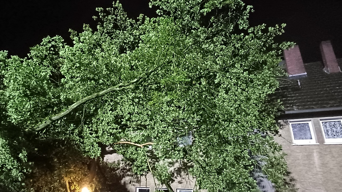 FW-EN: Wetter - Unwettereinsatz in der Nacht - Foto: presseportal.de