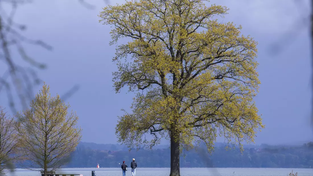 Das Wetter in Deutschland bleibt in den nächsten Tagen wechselhaft. - Bild: Jens Büttner/dpa