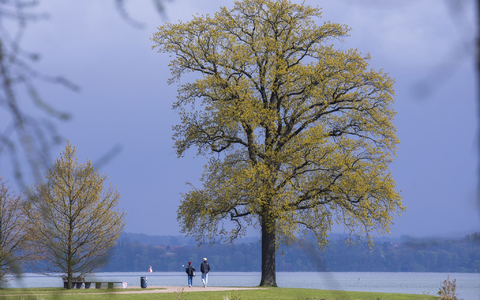 Das Wetter in Deutschland bleibt in den nächsten Tagen wechselhaft. - Foto: Jens Büttner/dpa