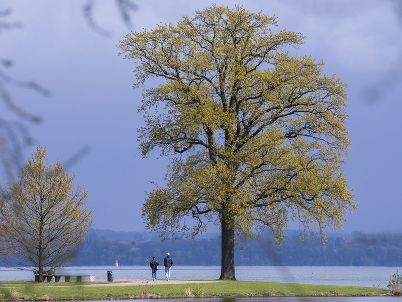 Das Wetter in Deutschland bleibt in den nächsten Tagen wechselhaft. - Foto: Jens Büttner/dpa