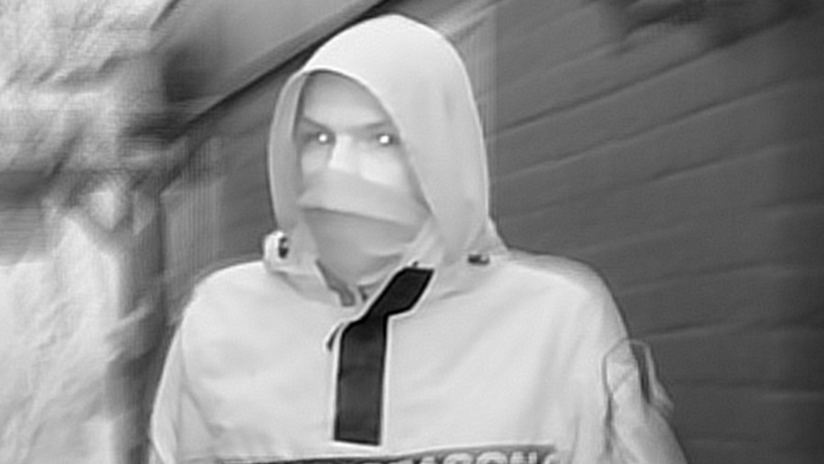 POL-WOB: Brandstiftungen in Kleingärten - Polizei fahndet mit Foto nach Täter - Foto: presseportal.de