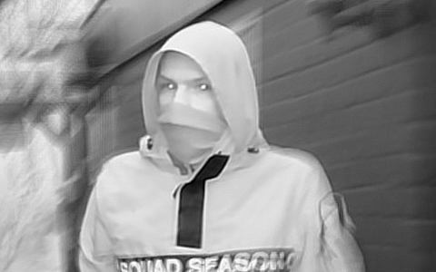 POL-WOB: Brandstiftungen in Kleingärten - Polizei fahndet mit Foto nach Täter - Foto: presseportal.de