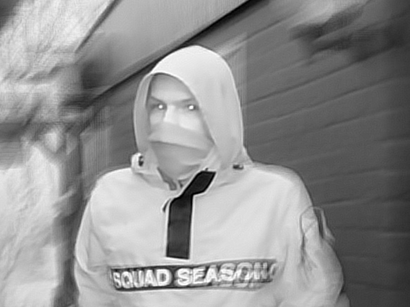 POL-WOB: Brandstiftungen in Kleingärten - Polizei fahndet mit Foto nach Täter - Foto: presseportal.de