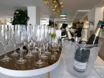 In Katalonien verdorren Weinreben - es ist zu trocken. Freixenet zieht nun Konsequenzen. - Foto: Clara Margais/dpa