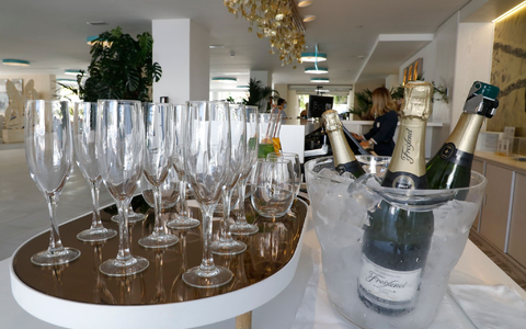 In Katalonien verdorren Weinreben - es ist zu trocken. Freixenet zieht nun Konsequenzen. - Foto: Clara Margais/dpa