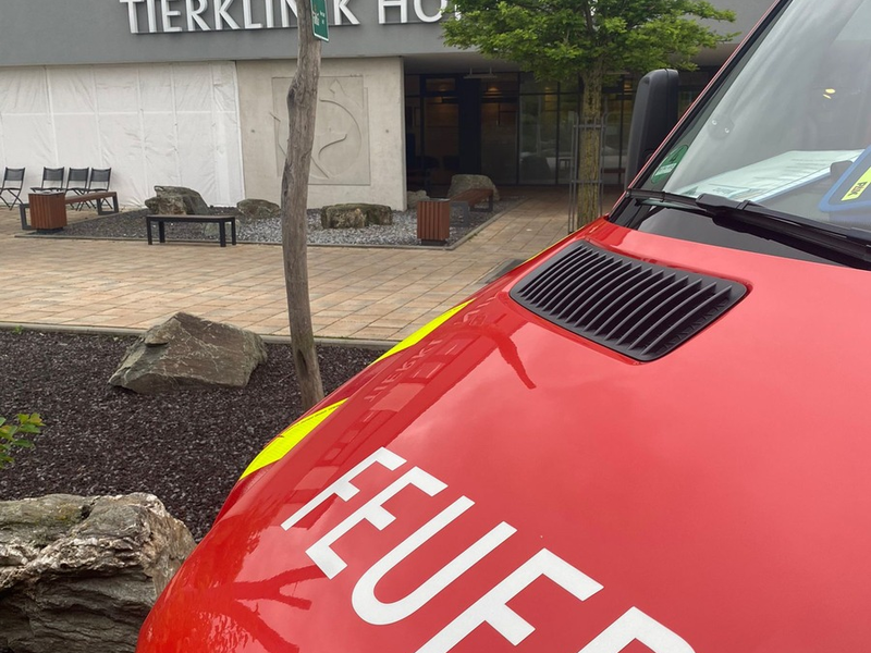 FW Mainz: Patiententransport der anderen Art - Foto: presseportal.de