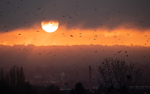 Von Resignation sei aber im «Klima-Kollaps-Café» keine Spur, behauptet Gründer Norbert Prinz. Es löse in der Gruppe kein Fatalismus aus, zu wissen, dass es nichts mehr zu retten gebe. - Foto: Sebastian Kahnert/dpa-Zentralbild/dpa