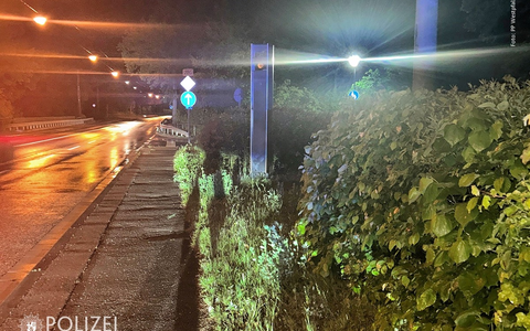 POL-PPWP: Blitzer in Brand gesetzt - Foto: presseportal.de