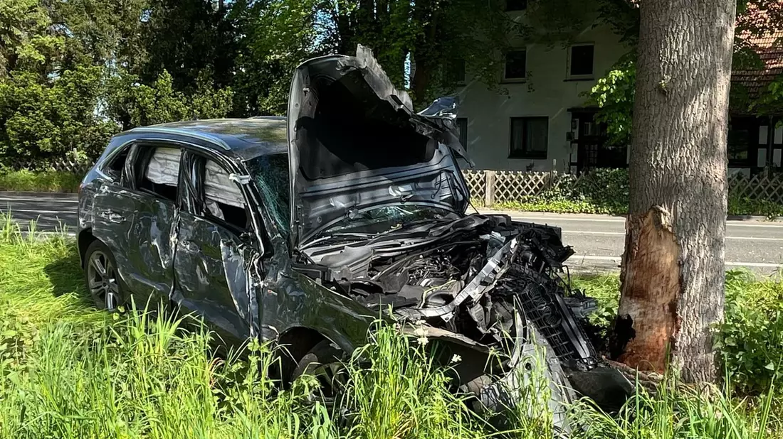 POL-MI: Auto kracht gegen Baum - Bild: presseportal.de