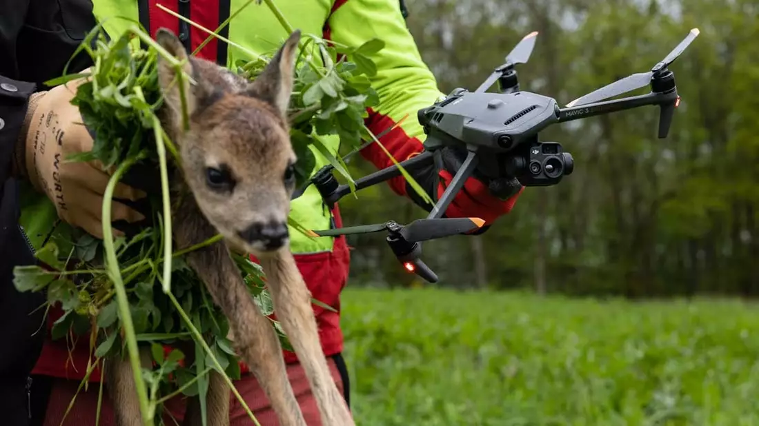 Alexander Mohr von der Copterpro GmbH: Wärmebilddrohnen im Einsatz für die Kitzrettung - Bild: presseportal.de