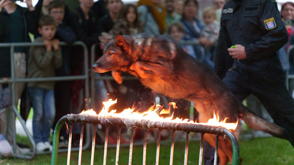 POL-F: 240506 - 0486 Frankfurt-Polizeipräsidium: Mehr als 6.000 Besucher im Kriminalmuseum bei der 