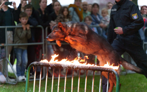 POL-F: 240506 - 0486 Frankfurt-Polizeipräsidium: Mehr als 6.000 Besucher im Kriminalmuseum bei der Nacht der Museen - Foto: presseportal.de
