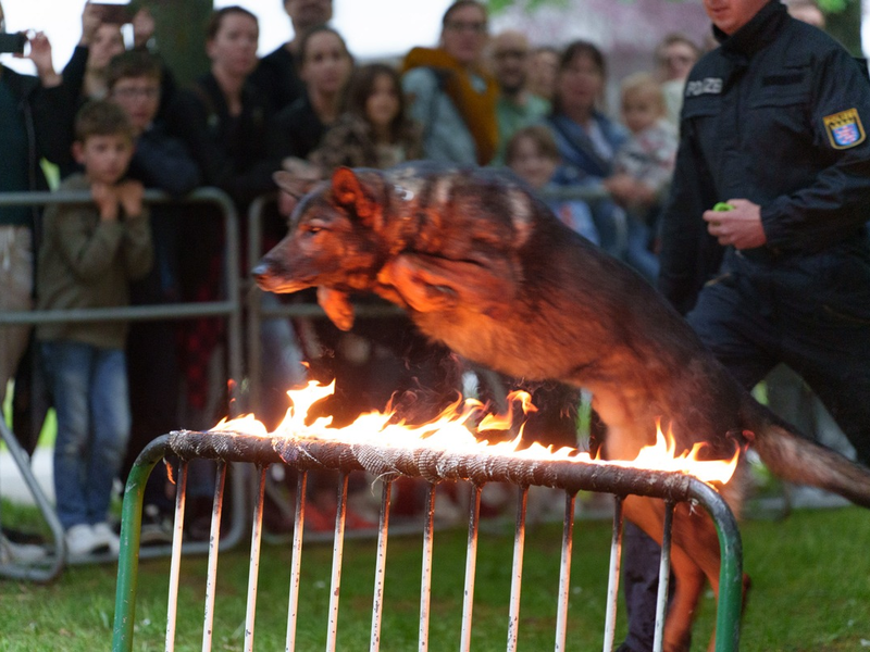 POL-F: 240506 - 0486 Frankfurt-Polizeipräsidium: Mehr als 6.000 Besucher im Kriminalmuseum bei der Nacht der Museen - Foto: presseportal.de