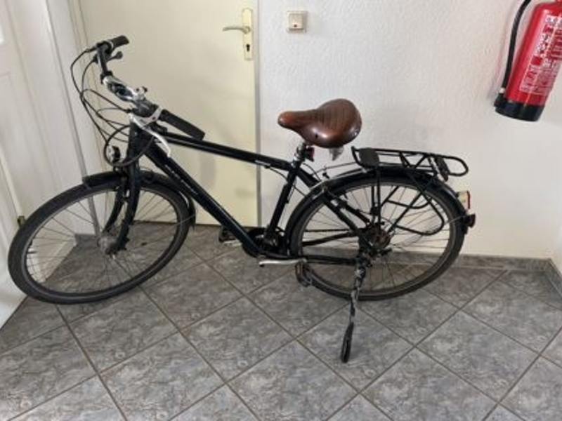 POL-NB: Wer vermisst Street-Buddy und Rad? - Foto: presseportal.de