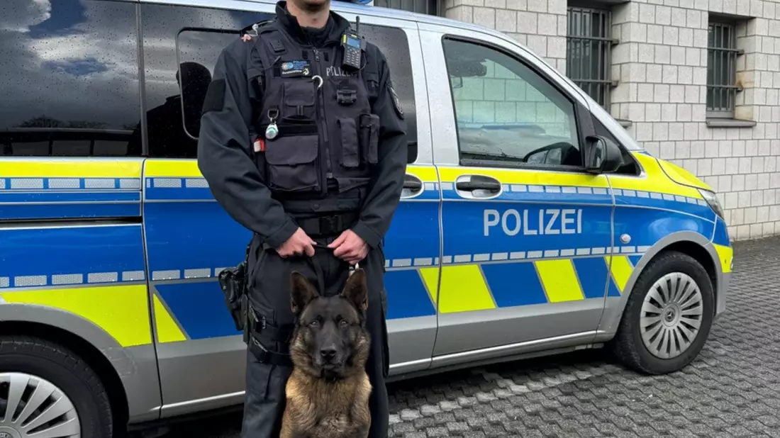 POL-SI: Nach bestandener Prüfung: Diensthund Luc ist offiziell Personenspürhund - #polsiwi - Bild: presseportal.de