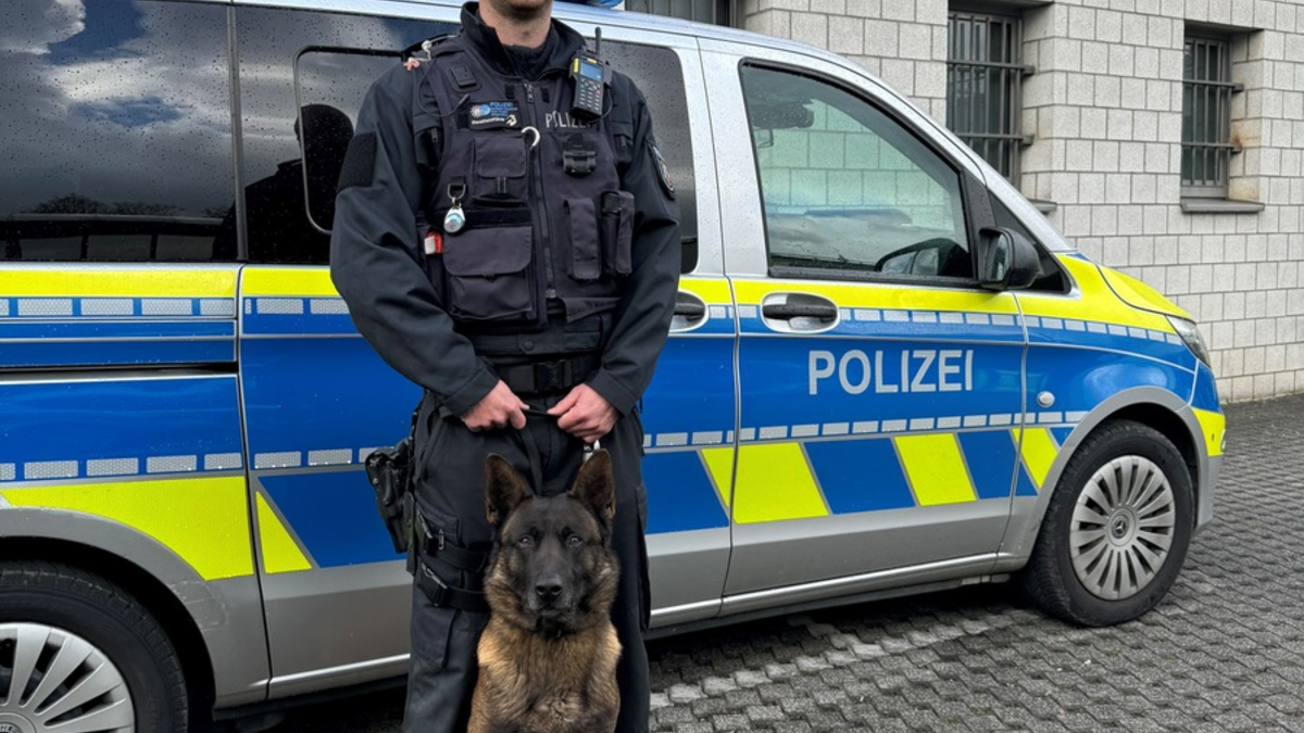 POL-SI: Nach bestandener Prüfung: Diensthund Luc ist offiziell Personenspürhund - #polsiwi - Foto: presseportal.de