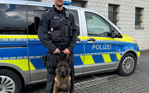 POL-SI: Nach bestandener Prüfung: Diensthund Luc ist offiziell Personenspürhund - #polsiwi - Foto: presseportal.de