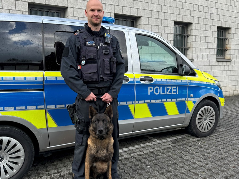 POL-SI: Nach bestandener Prüfung: Diensthund Luc ist offiziell Personenspürhund - #polsiwi - Foto: presseportal.de