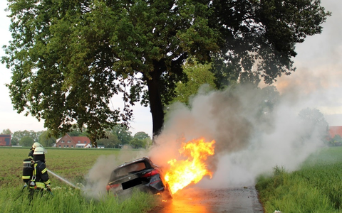 POL-MI: Auto fängt nach Kollision mit Baum Feuer - Foto: presseportal.de