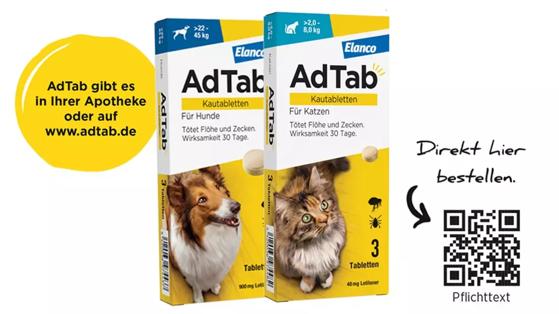Jetzt an Parasitenschutz denken / Kleine Kautablette schützt Hunde und Katzen vor Zecken & Flöhen - Bild: presseportal.de