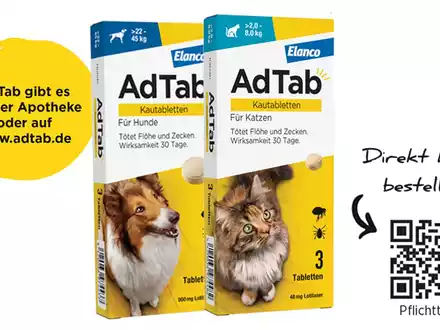 Jetzt an Parasitenschutz denken / Kleine Kautablette schützt Hunde und Katzen vor Zecken & Flöhen - Foto: presseportal.de