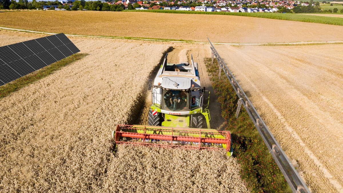 Sonne und Acker: Agri-PV als Chance für Energie- und Landwirtschaft - Foto: presseportal.de