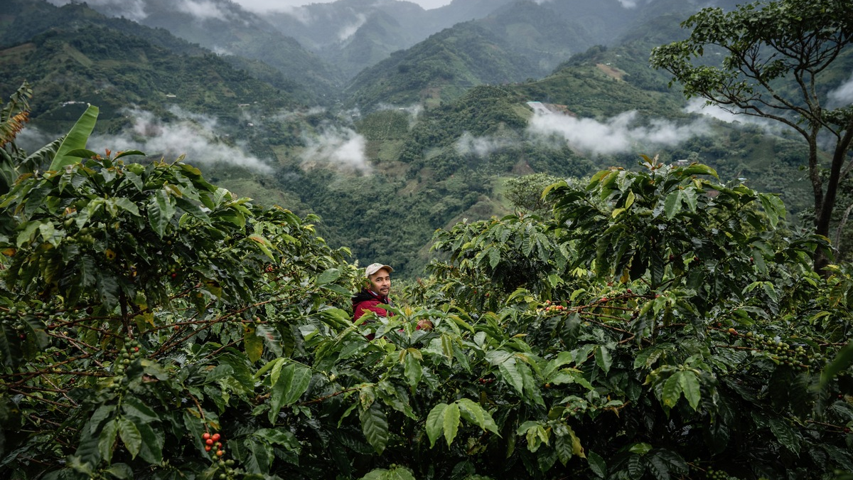 2,6 Mrd. Euro Umsatz mit Fairtrade-Produkten / Fairtrade Deutschland veröffentlicht Jahresbericht 2023/2024 - Foto: presseportal.de