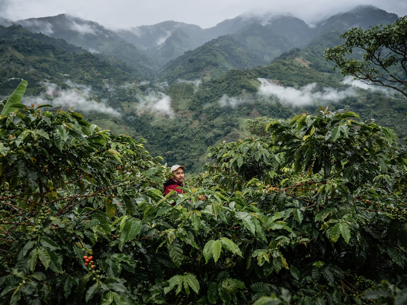 2,6 Mrd. Euro Umsatz mit Fairtrade-Produkten / Fairtrade Deutschland veröffentlicht Jahresbericht 2023/2024 - Foto: presseportal.de