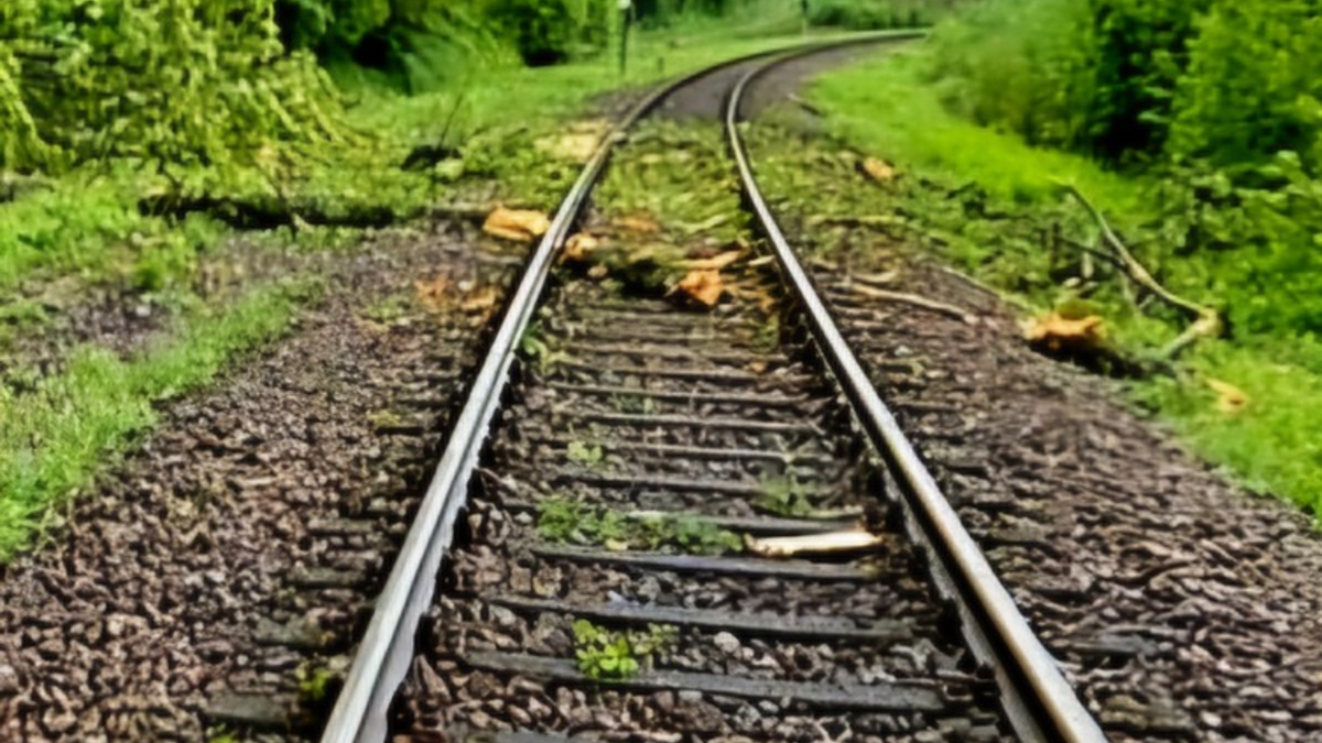 BPOL-KL: Zug kollidiert mit Baumstamm - Foto: presseportal.de