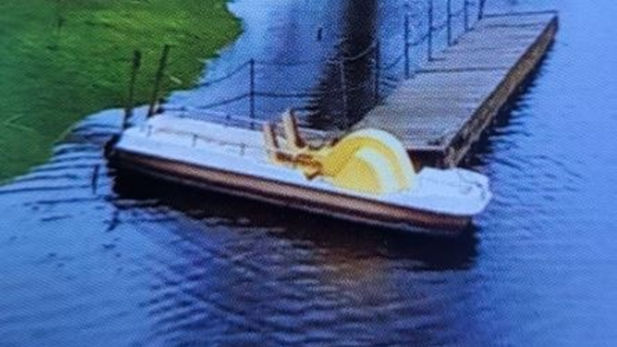 POL-NMS: 240508-1-pdnms Zeugenaufruf nach Diebstahl eines Tretboots, Nübbel - Foto: presseportal.de