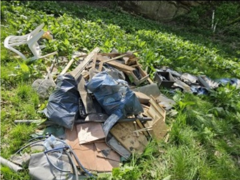 POL-KB: Röddenau - Baumüll im Steinbruch entsorgt, die Polizei sucht nach Zeugen - Foto: presseportal.de